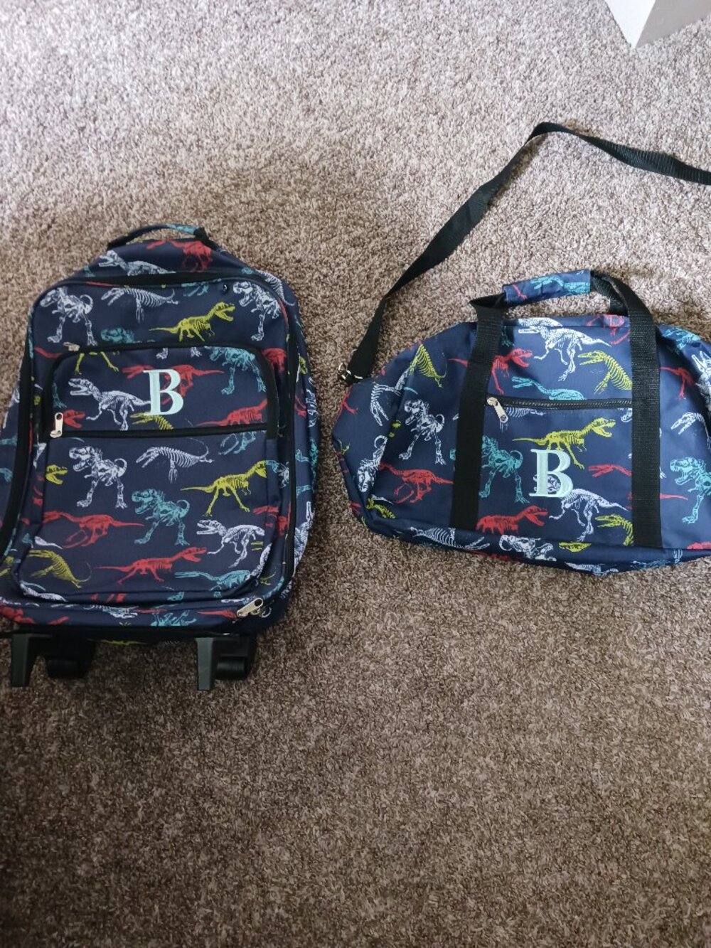 Youth Dinosaur luggage set embroidered letter B